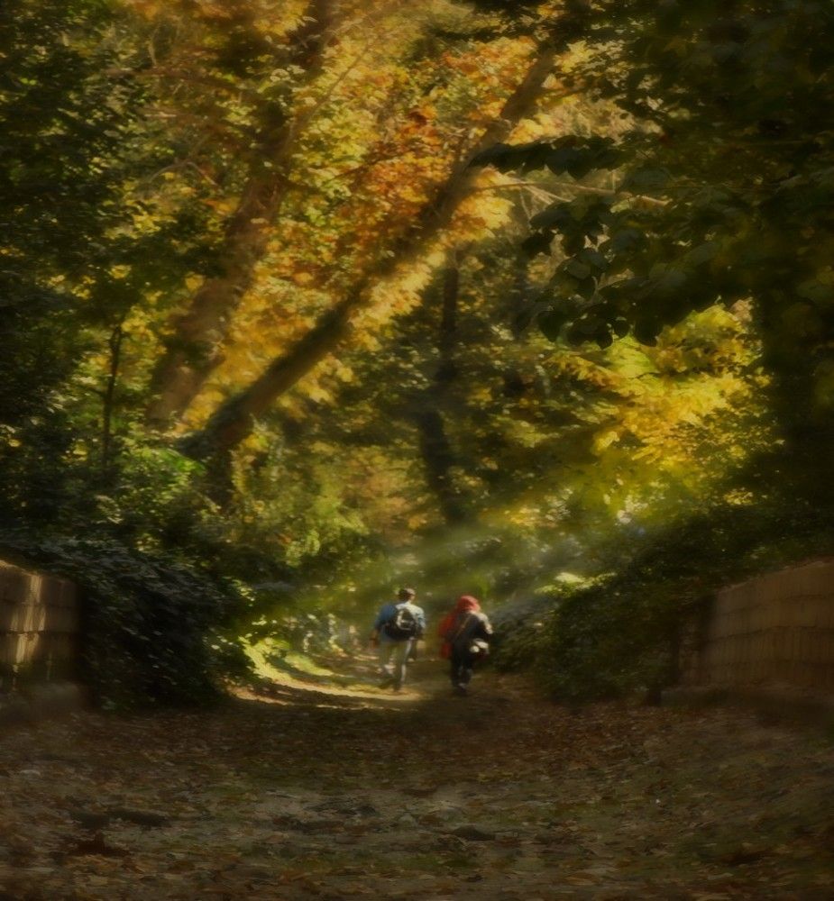 Photograph by Elnaz Eftekhari