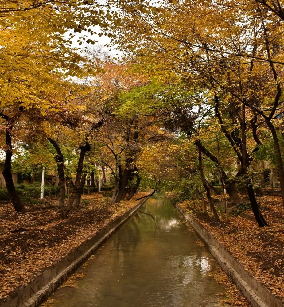 Photograph by Elnaz Eftekhari