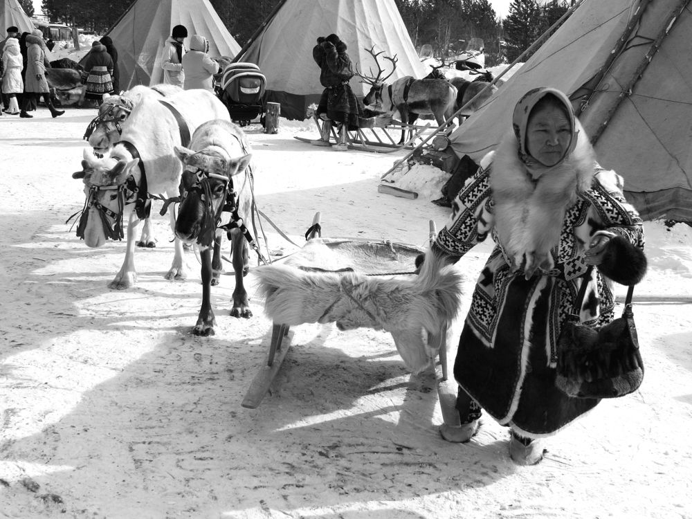 Photograph by Мария Самоловова