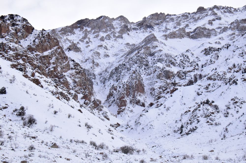 Photograph by Марина Белькова