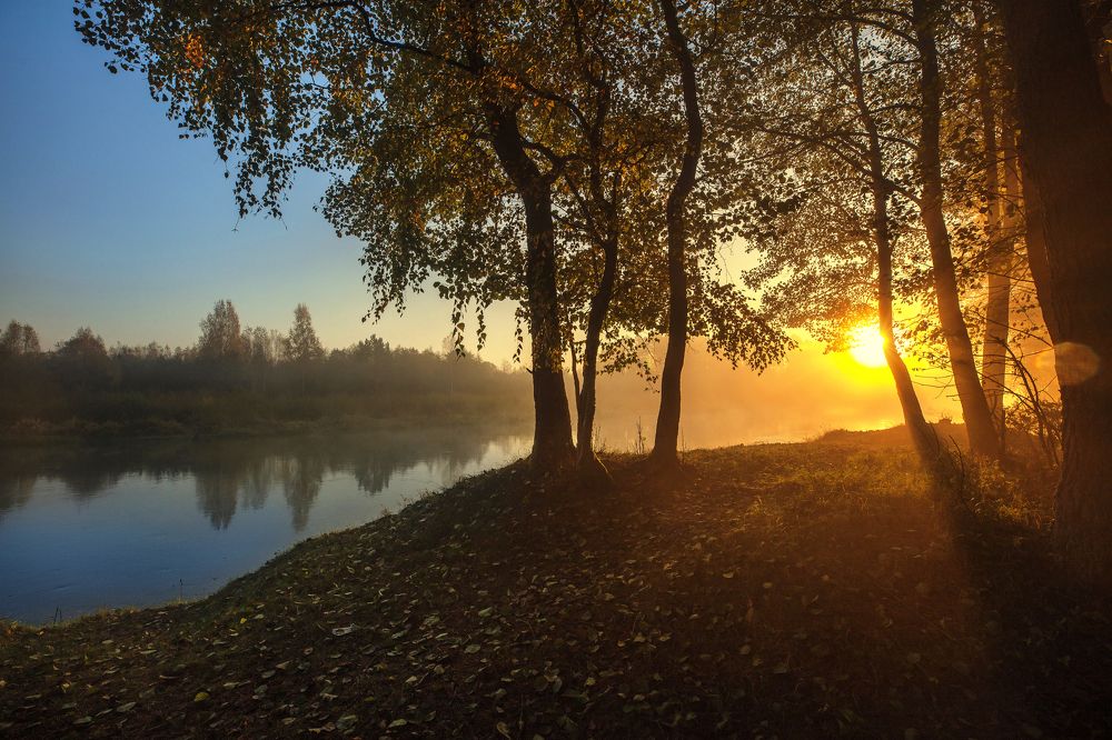 Фотография автора Валентина Янковская