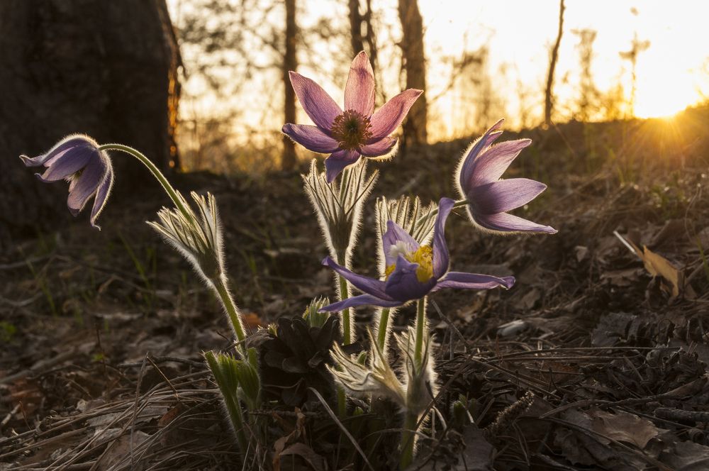 Photograph by Андрей Папанов