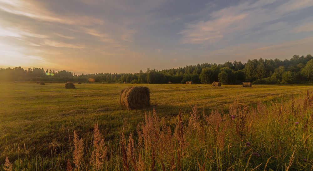 Photograph by Армашов-Тельник Григорий