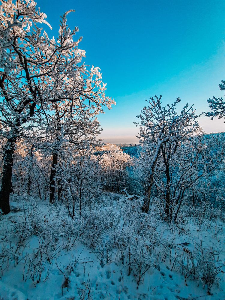 Photograph by Егор Андреев