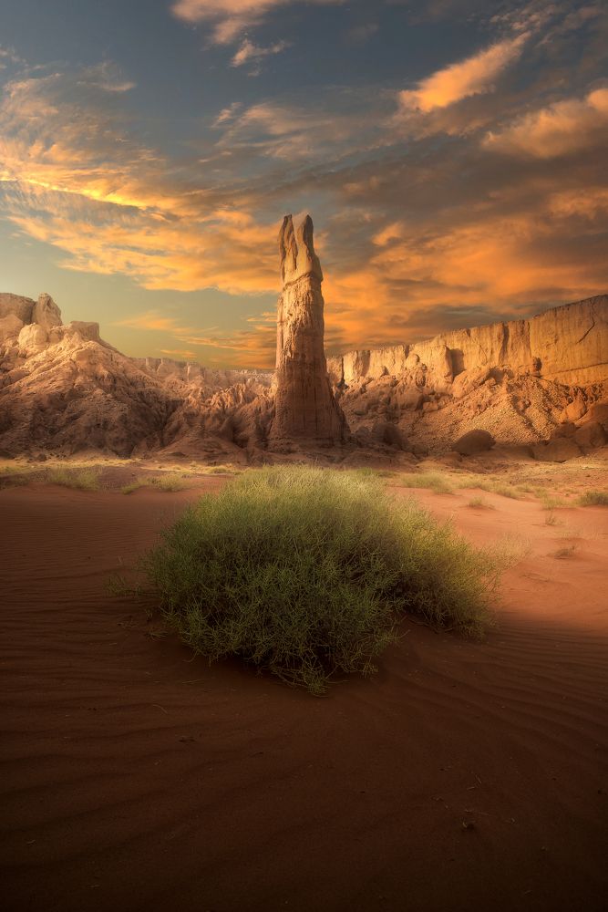 Photograph by Zineddine Benidir