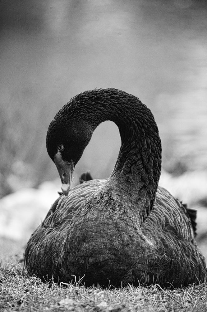 Photograph by Рамиль Газизов