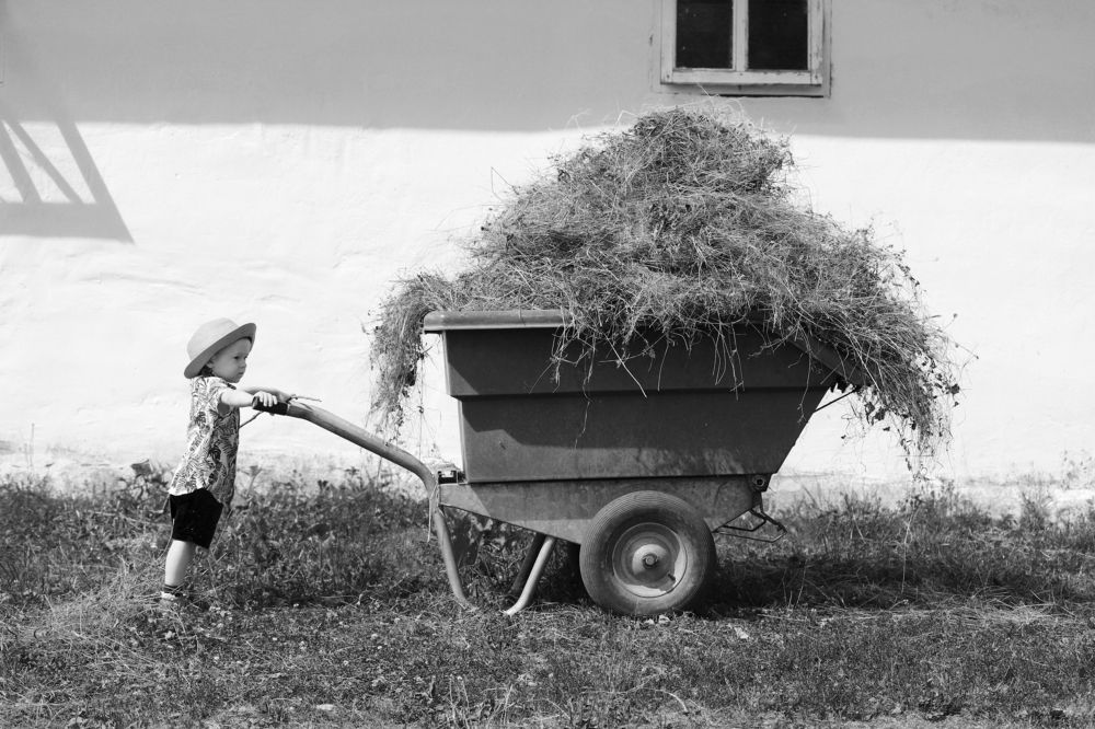 Photograph by Anastasia Mosina