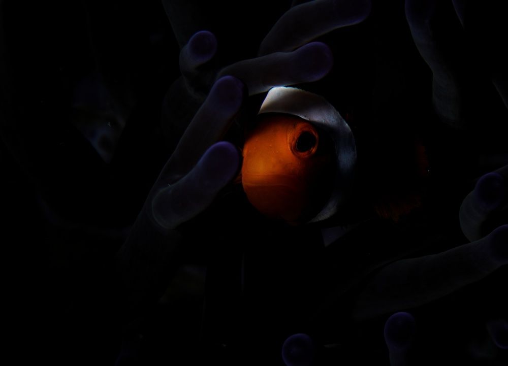 Photograph by Magali Marquez