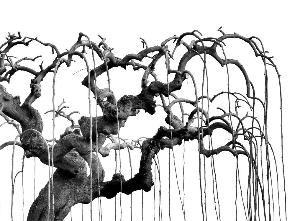 Photograph by Teresa Guerreiro