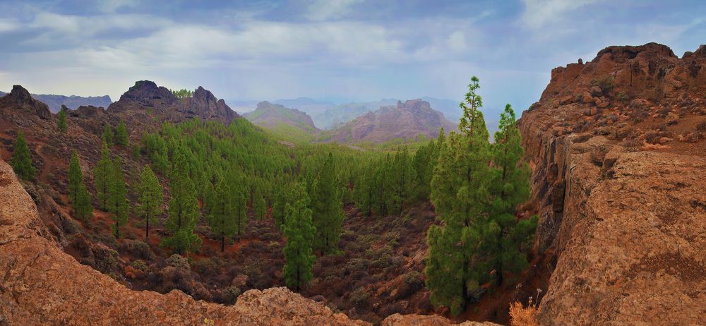 Photograph by Sofiya Hunchyk