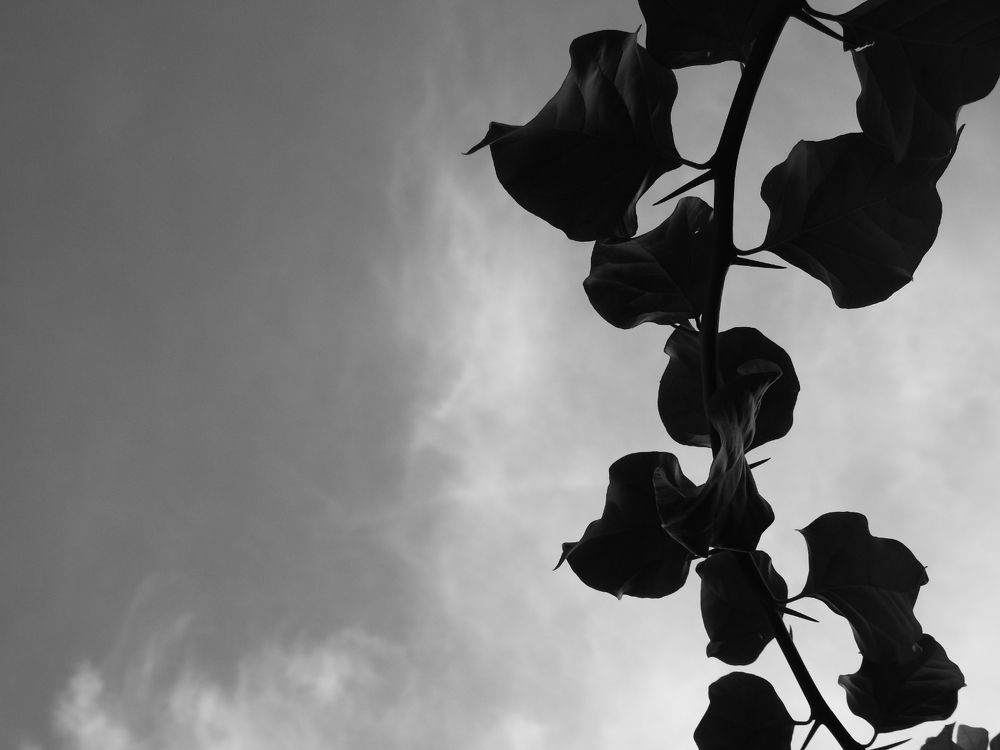 Photograph by mohaddeseh nadi