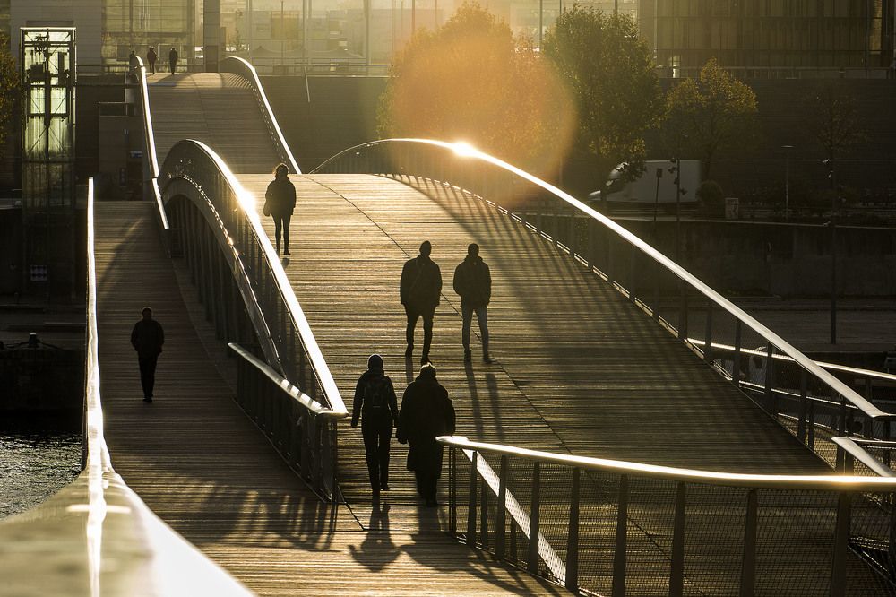 Фотография автора robert bared