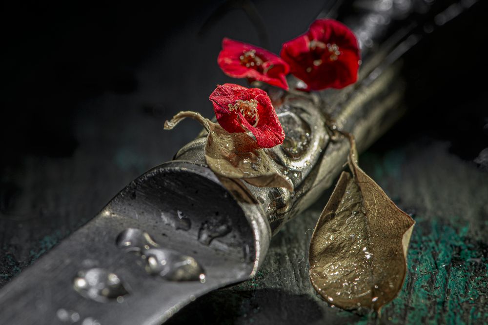 Photograph by Игорь Смирнов