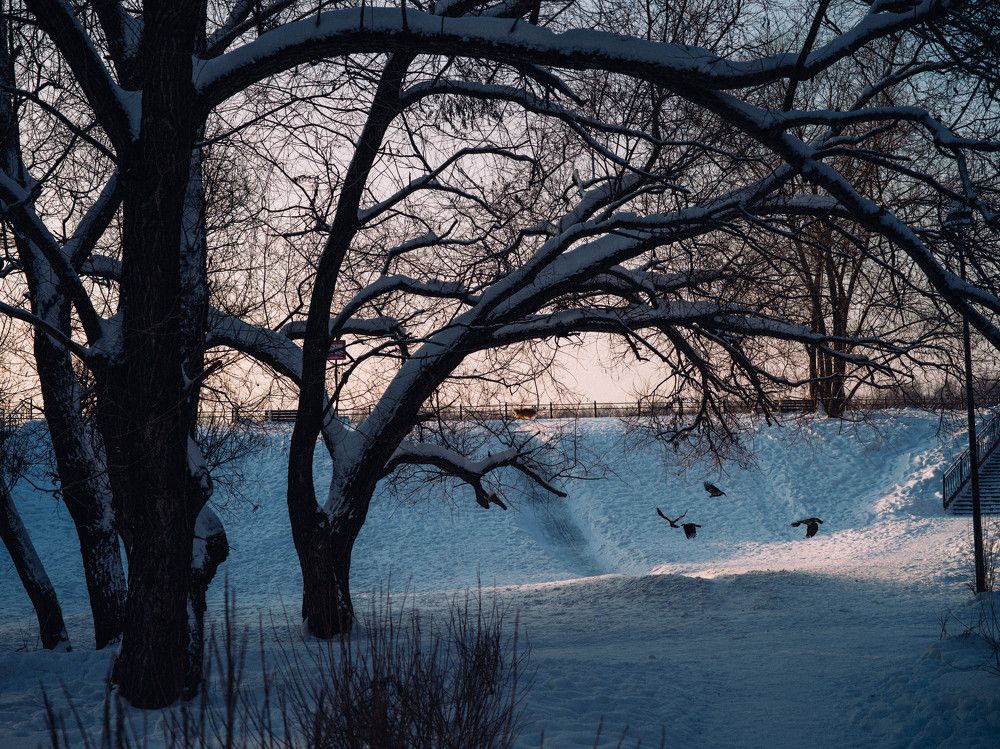 Photograph by Игорь Лобанов