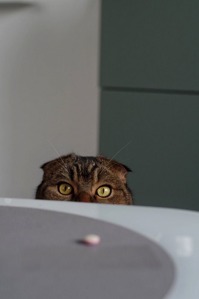 Photograph by Кристина Гончарь