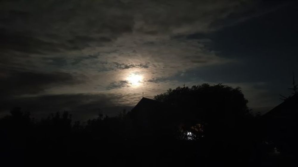 Photograph by Bosko Simic