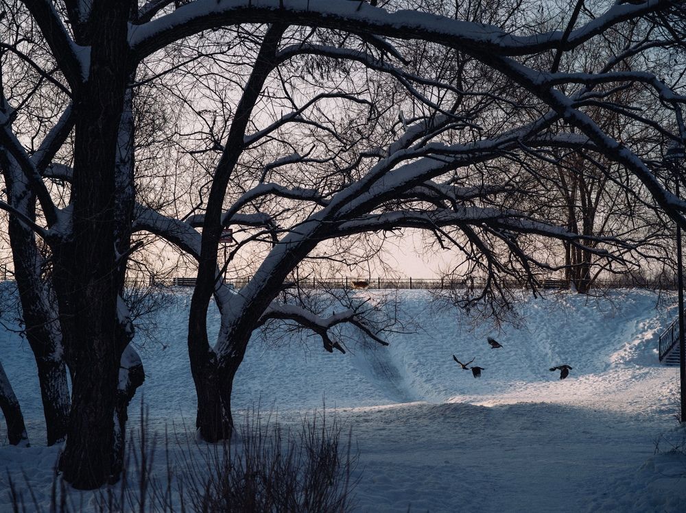 Photograph by Игорь Лобанов