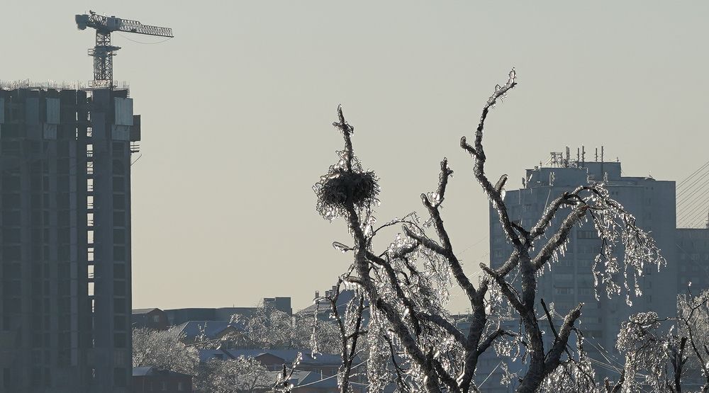 Photograph by Антонов Алексей