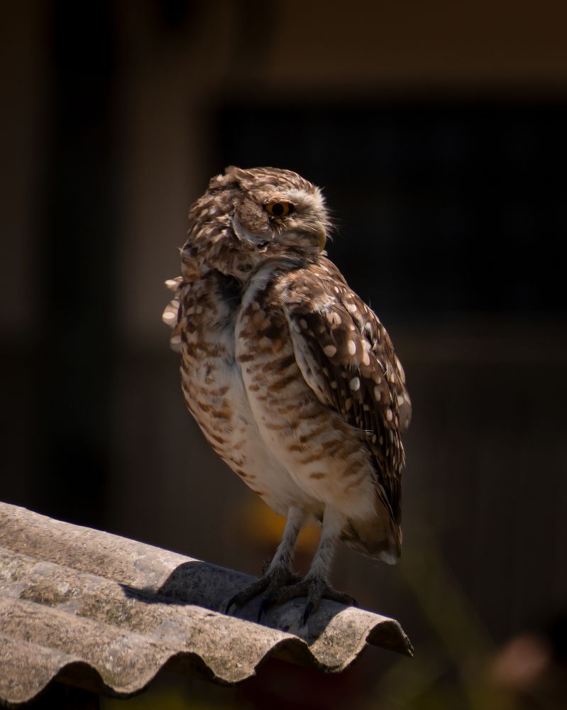 Photograph by Eduardo Somer