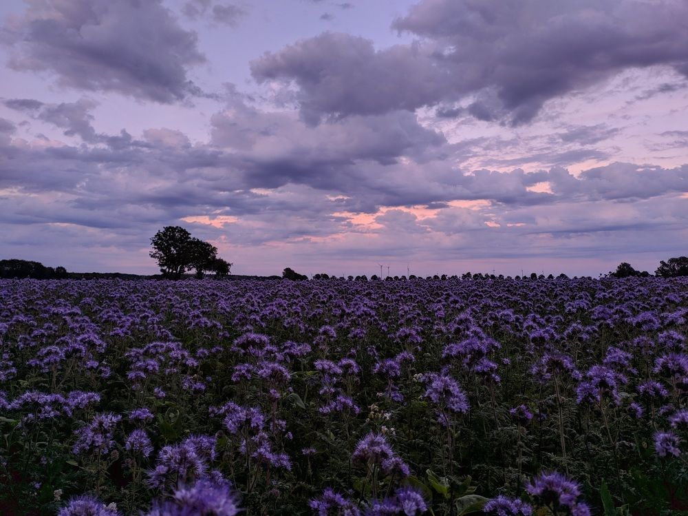 Photograph by Кристина Гончарь
