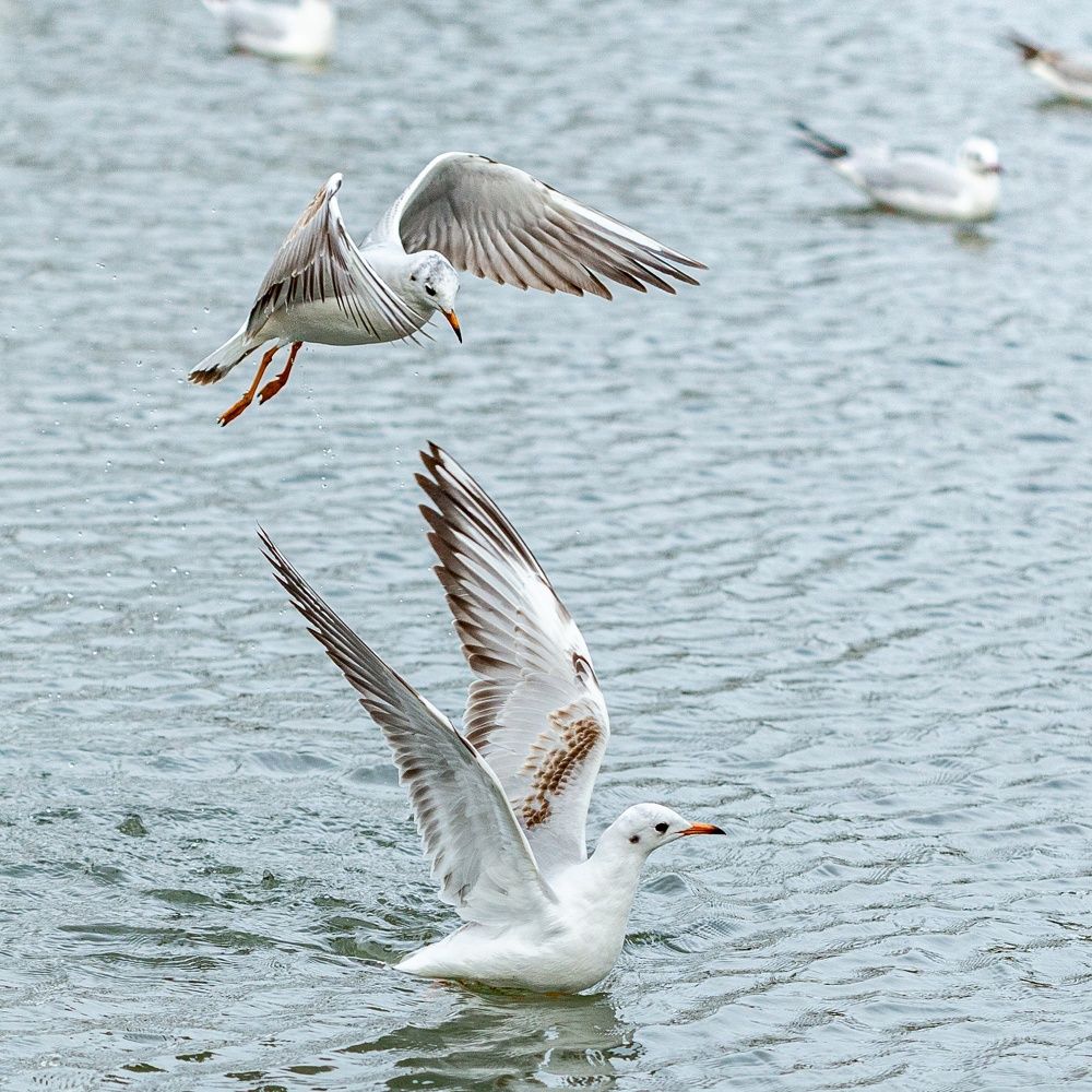 Photograph by Giga Kokoladze