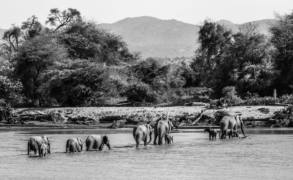 Фотография автора Cláudia Maria Fialho Garcia