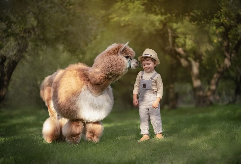 Photograph by Владимир Гордеев