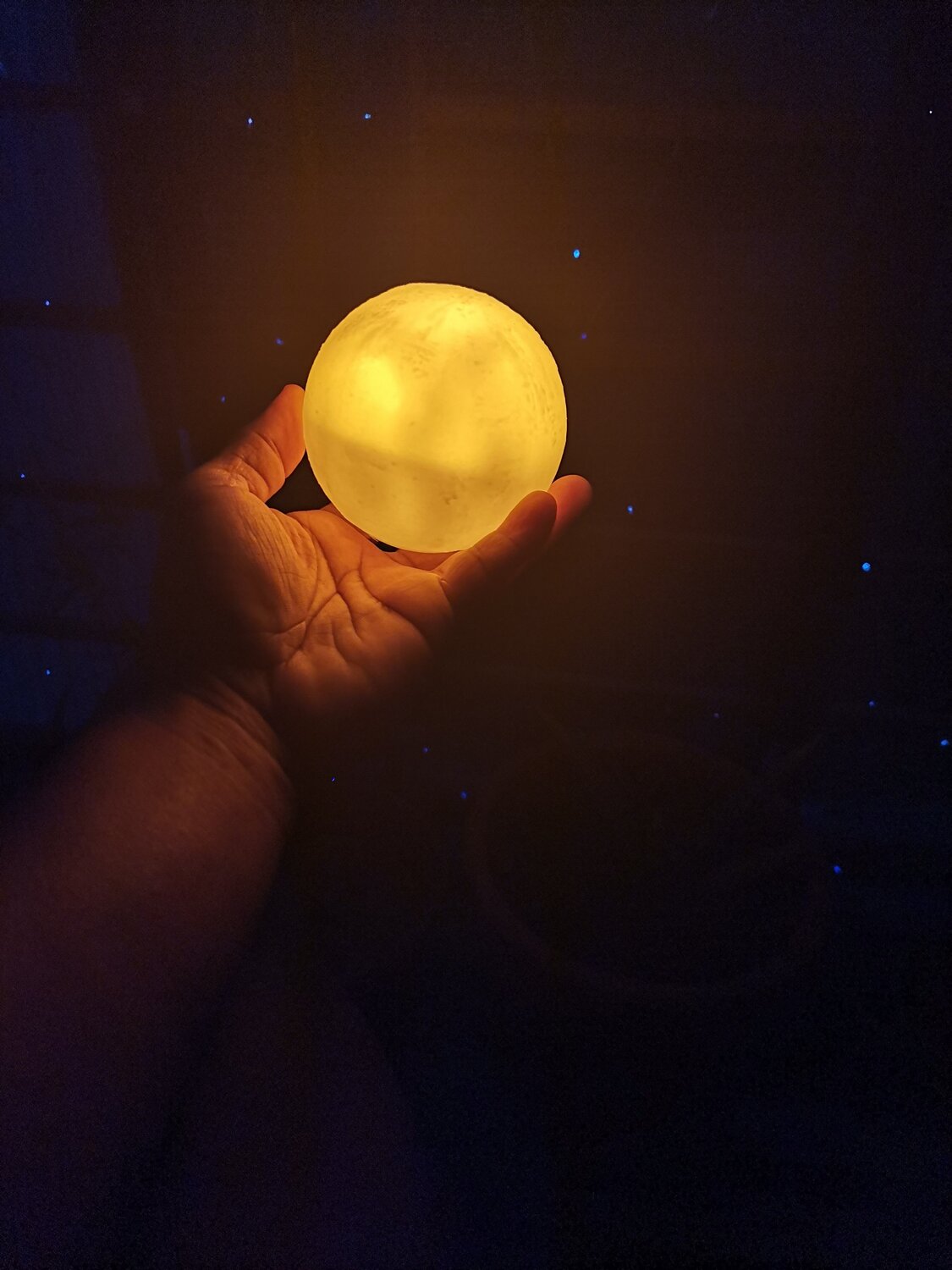 Photo #5841092