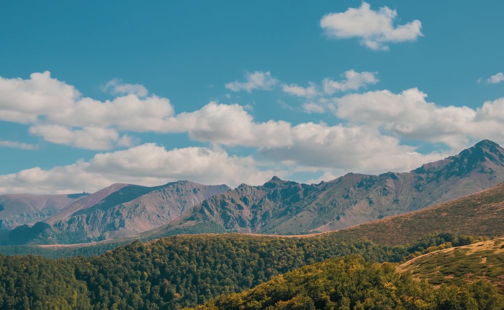 Magnificent Mountain