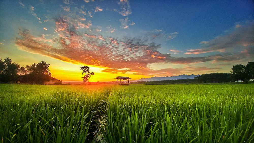 Photograph by Syi'ir Waton