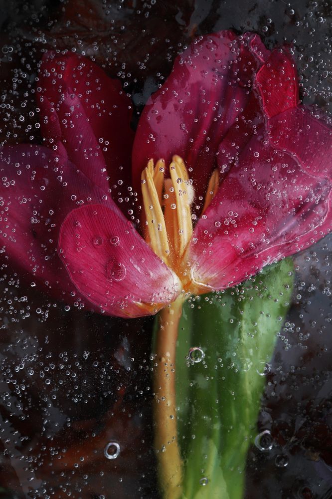 Photograph by Anastasia Mosina