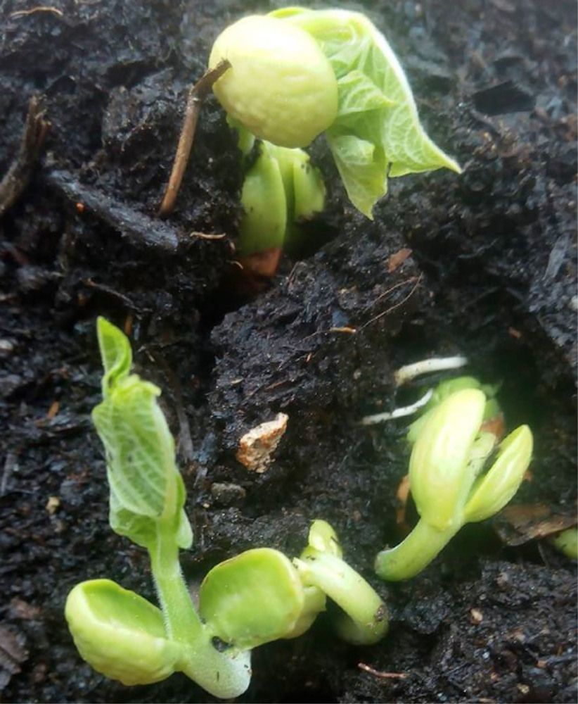 Photograph by Raileanu Armand