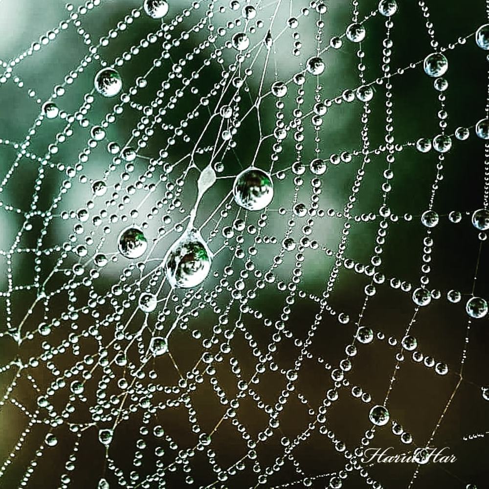 Photograph by Artur Avakov