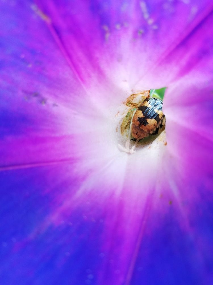 Photograph by Andrea Alcalá