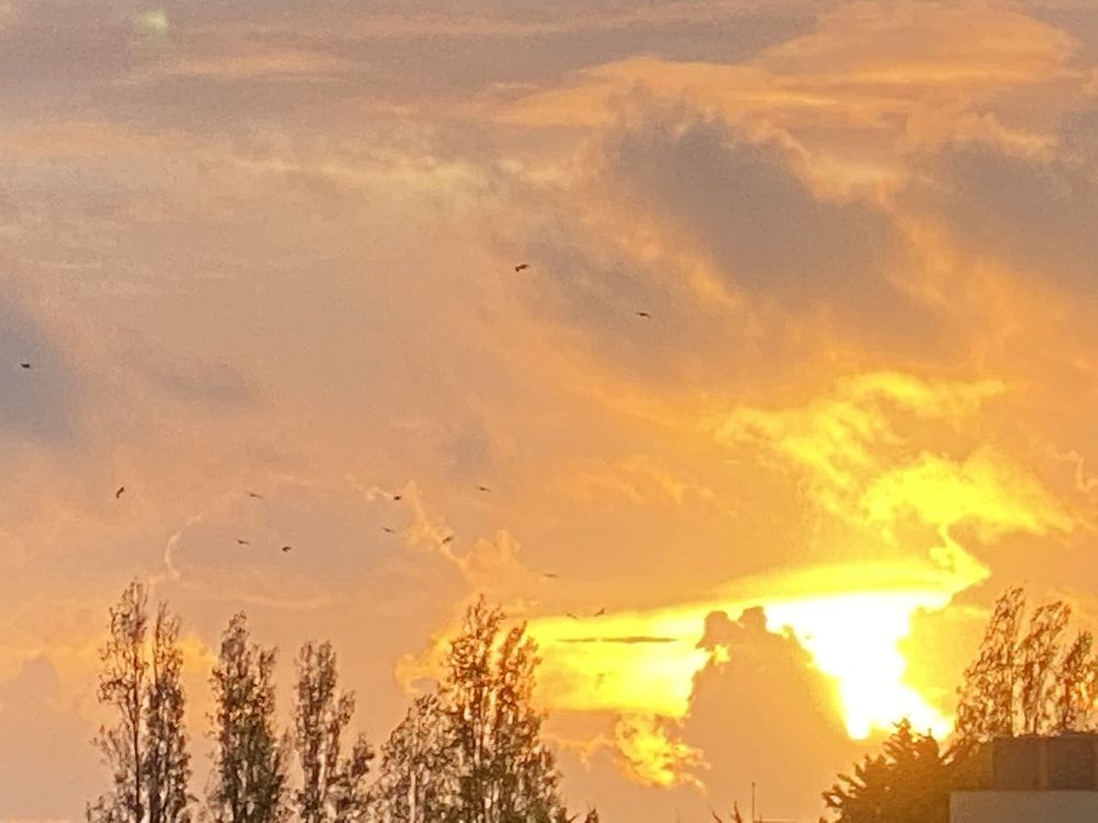 Photograph by Luís Damas