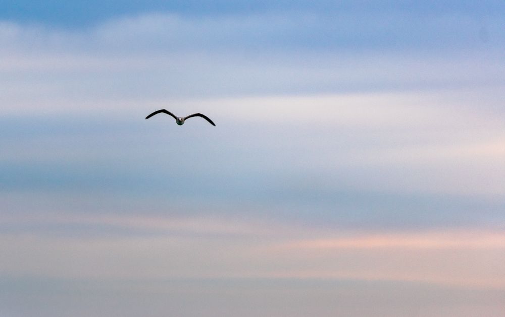 Photograph by Armando Galaviz