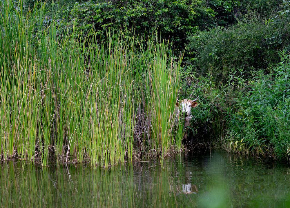 Photograph by Armando Galaviz