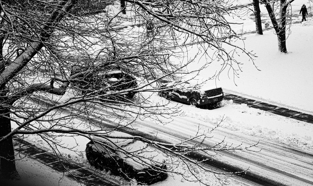 Photograph by anita parish