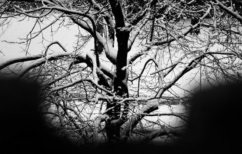 Photograph by anita parish