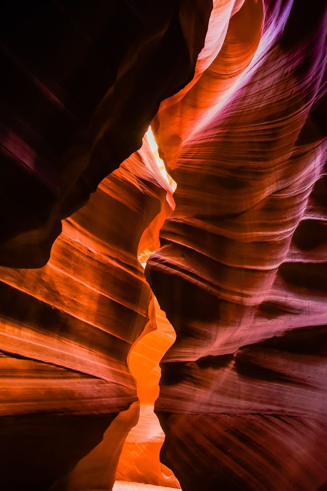 Photograph by Александра Hryshyn