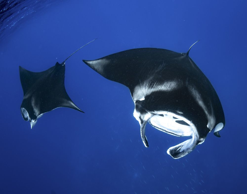 Photograph by takahashi reiko