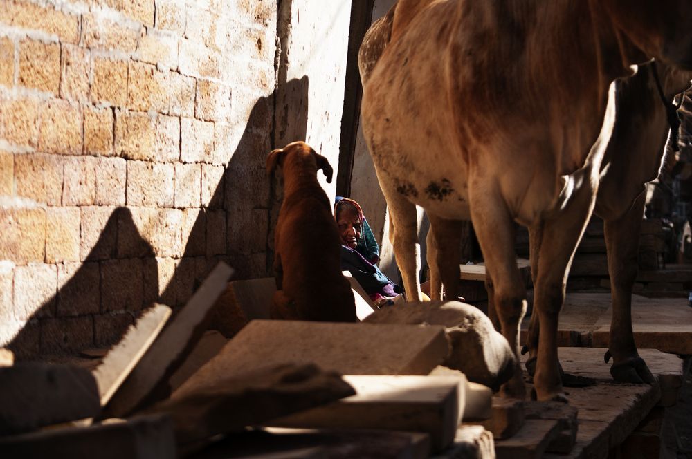 In one abandoned corner