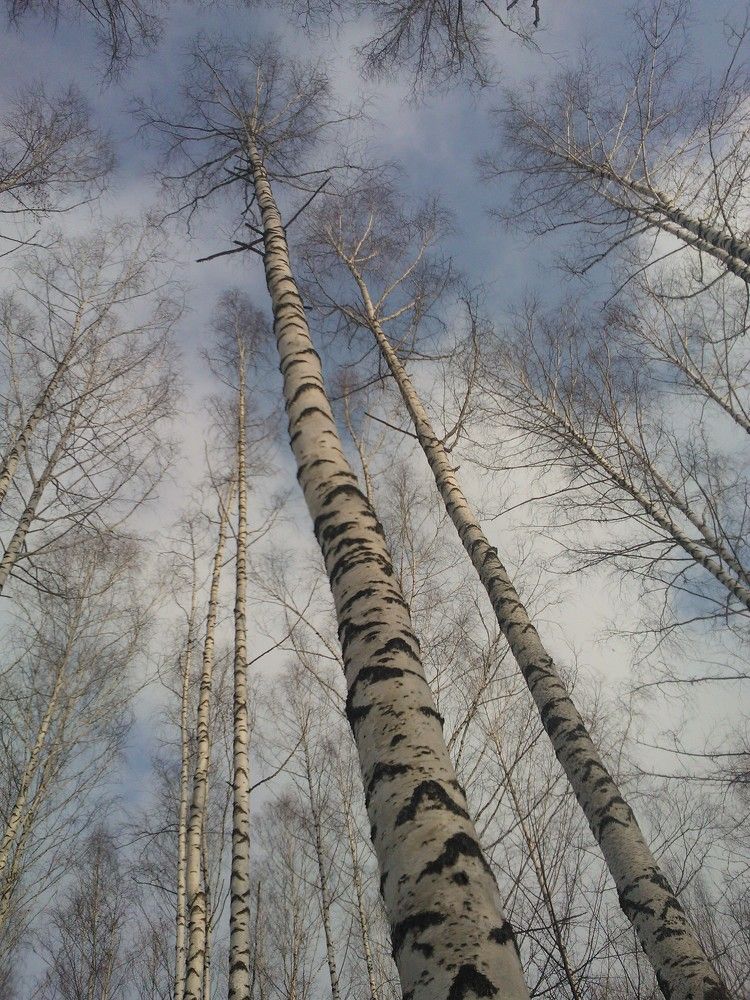 Photograph by Сергей Головин