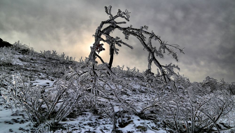 Photograph by Валерий