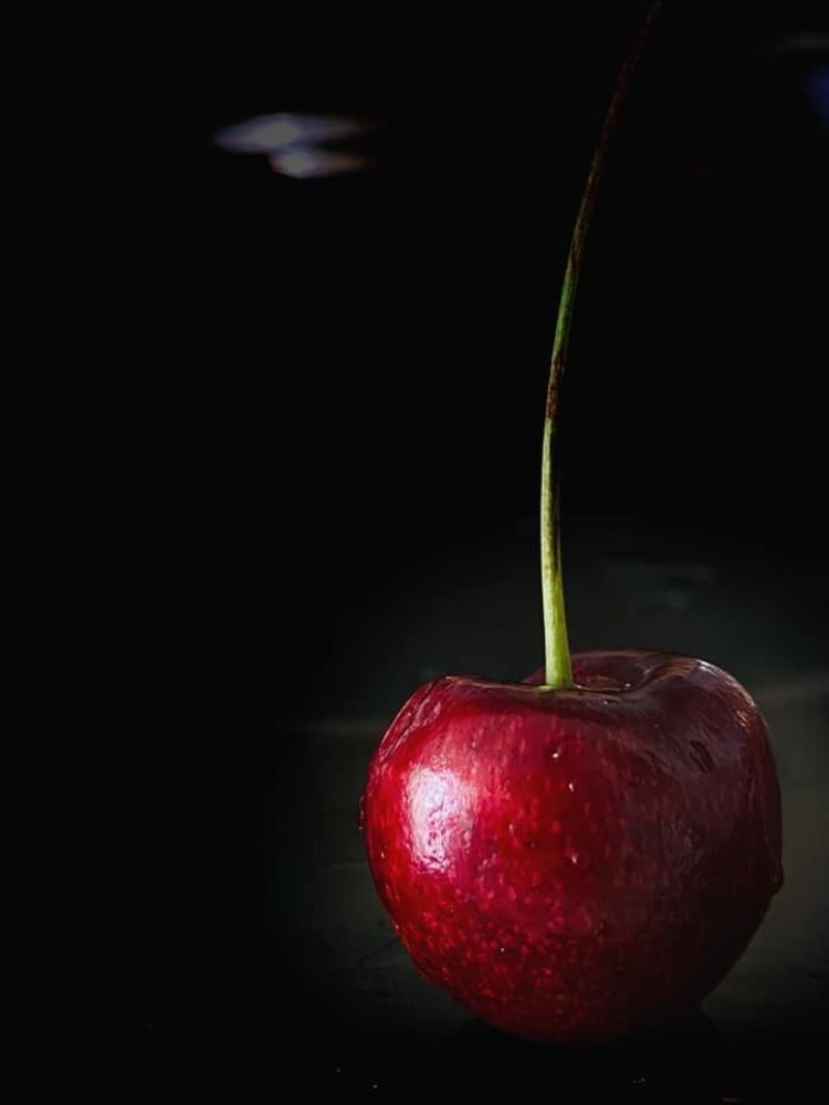 Photograph by Dewanmini Yshakha