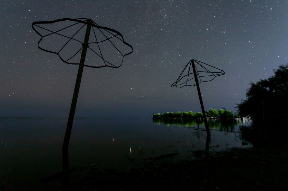 Photograph by Безгодов Олег