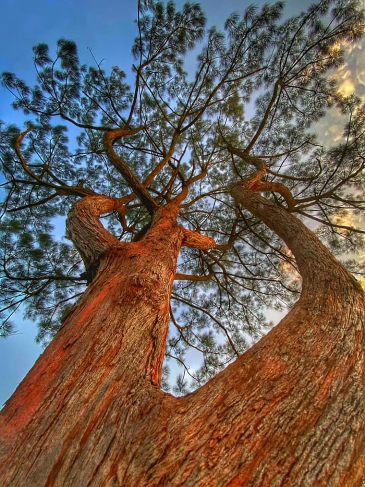 Photograph by Dewanmini Yshakha