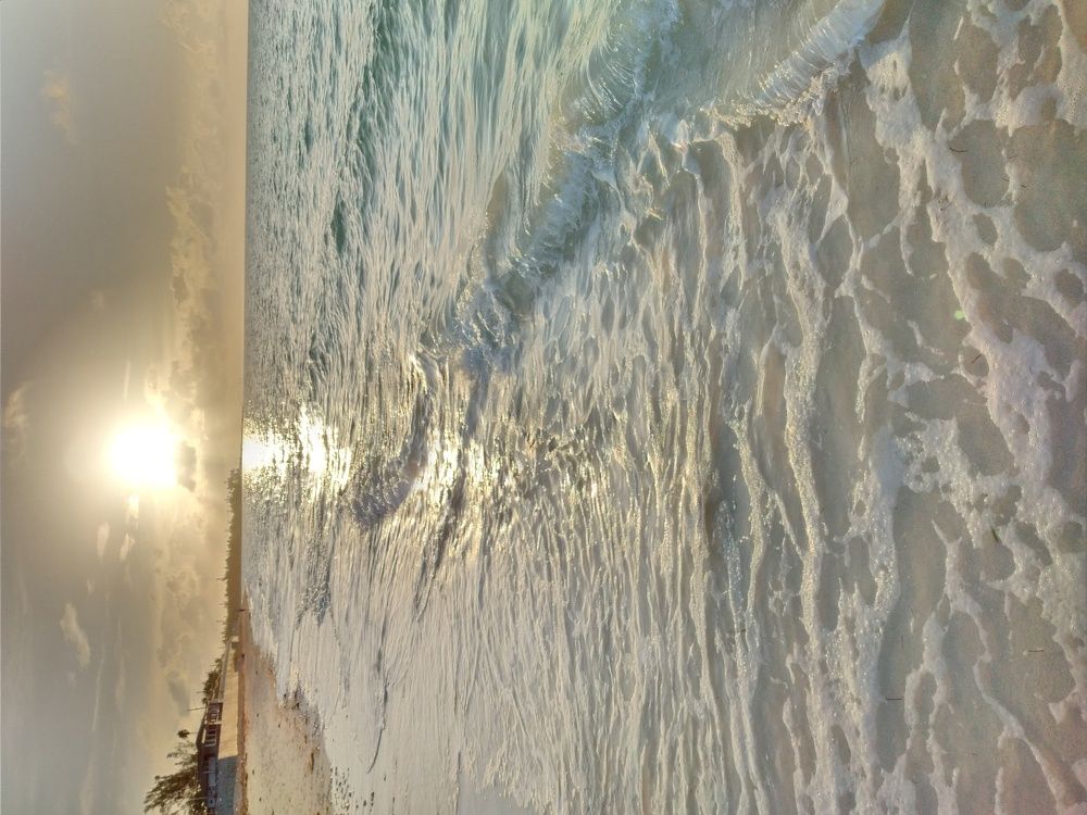 Photo #5841705
