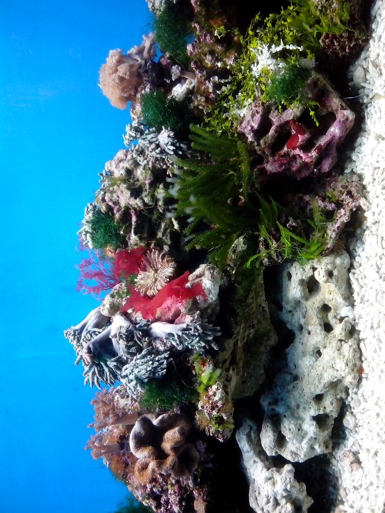 Photograph by Андрей Шахно