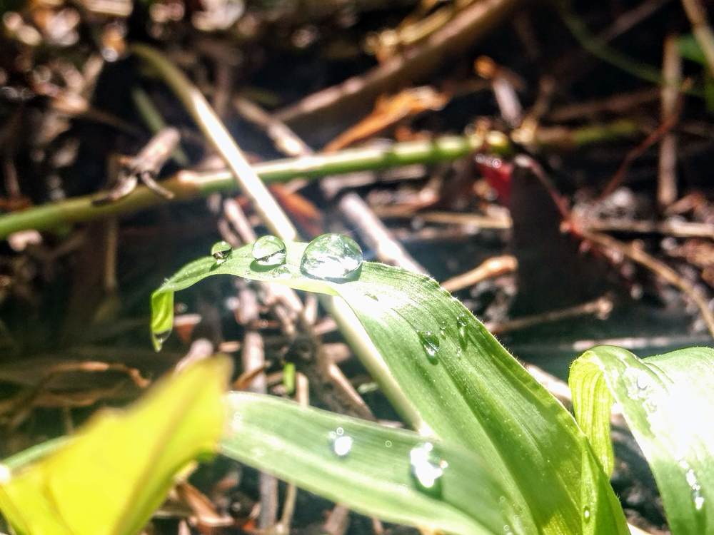 Photo #5841731